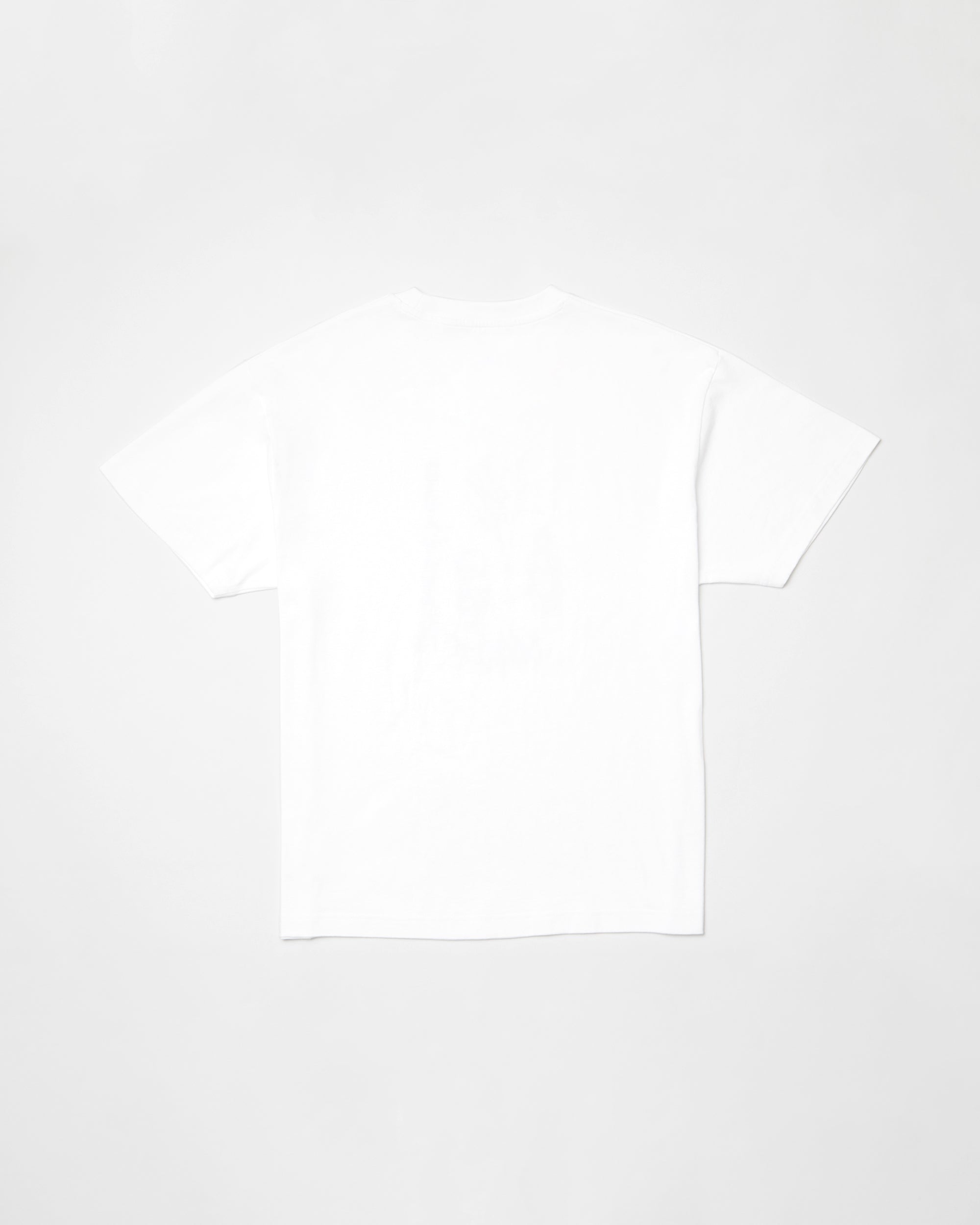Poetic Dess Loose Short Sleeve Tee