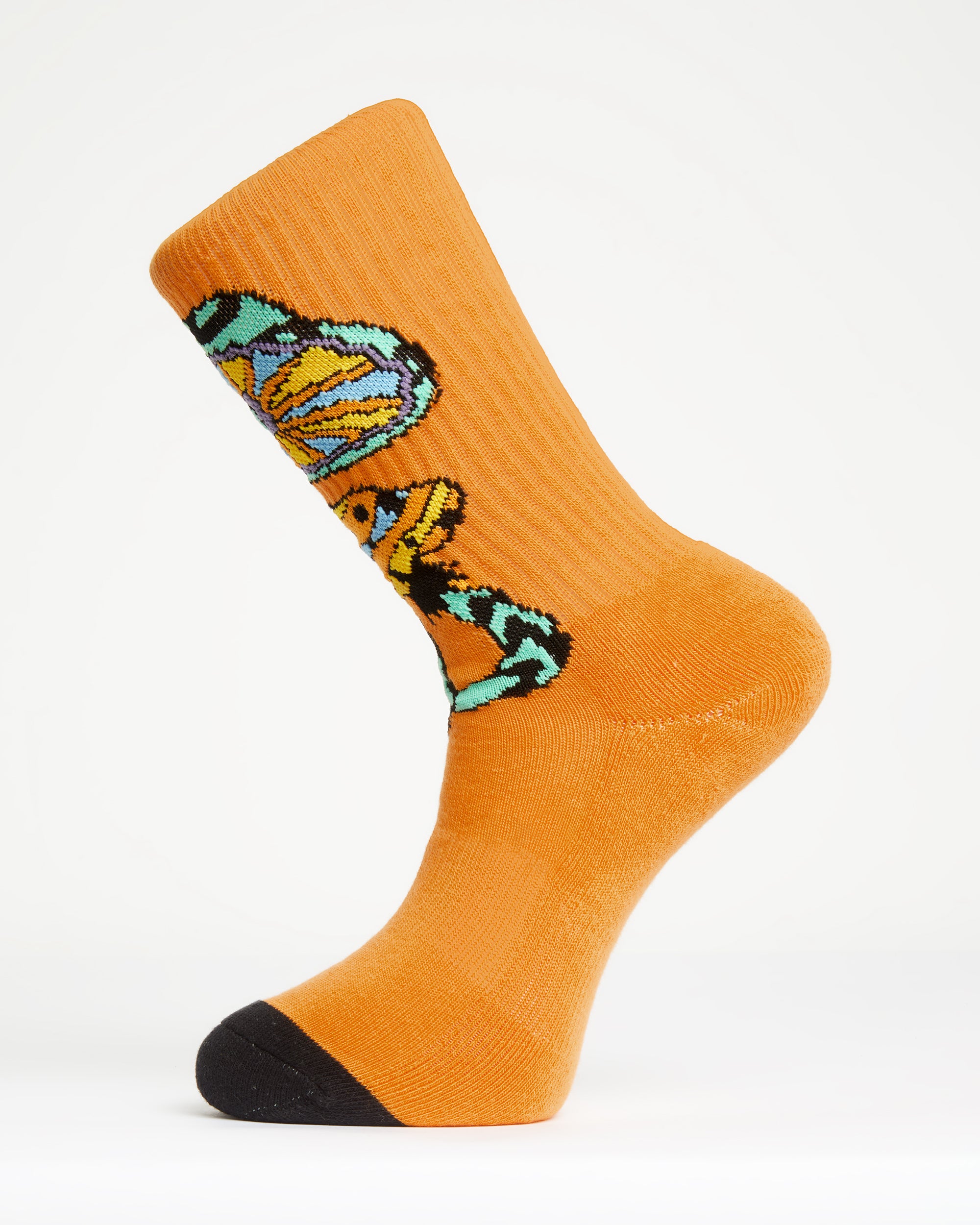 Featured Artist Bob Mollema Sock 4 Pack