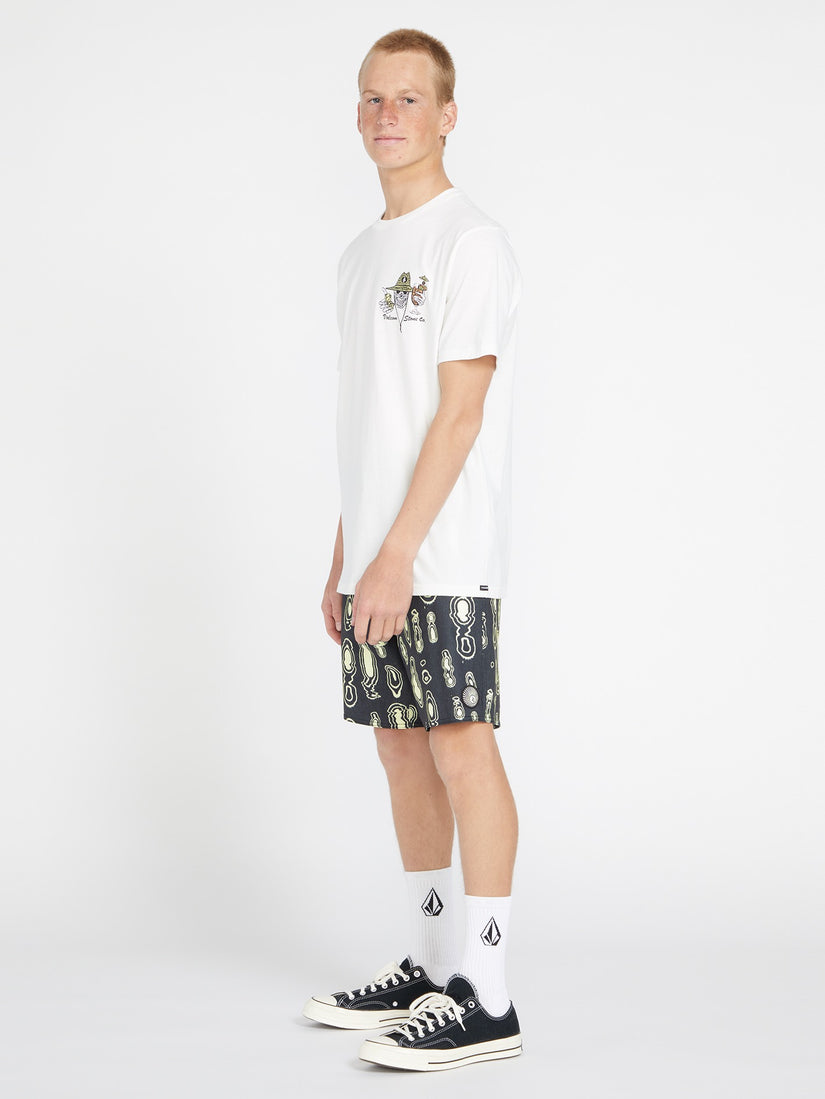 Shaken Stirred Stoney Boardshort 19" - Black