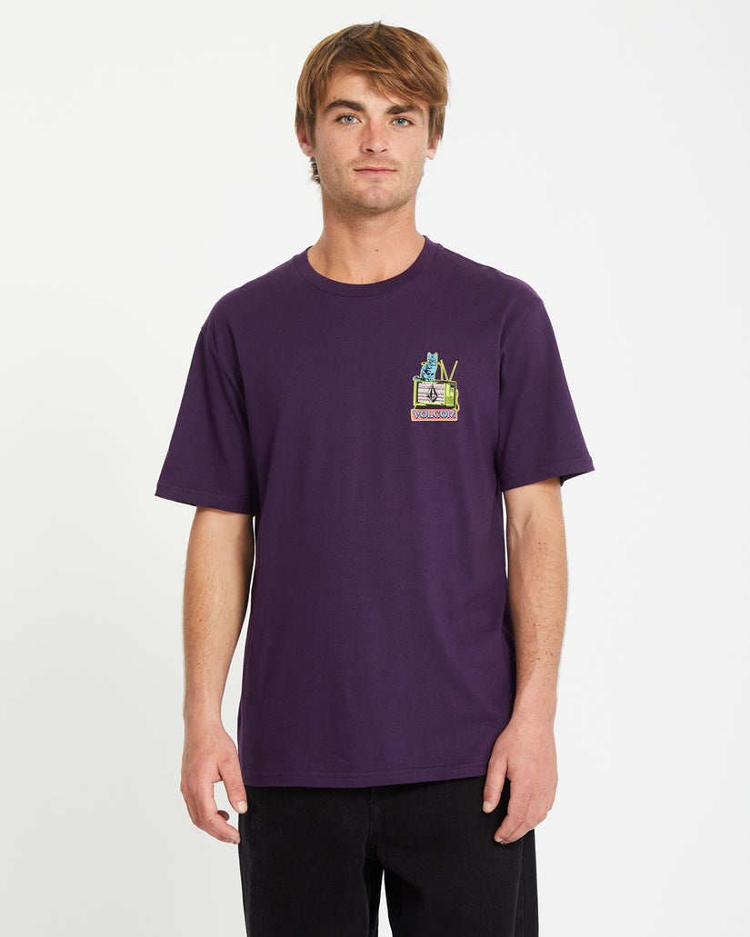 Catv Bsc Short Sleeve Tee - Grape Royale