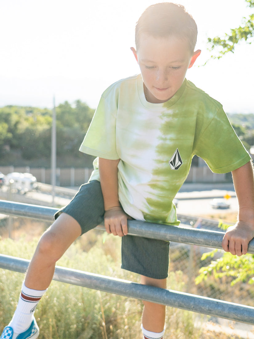 Boys Youth Iconic Stone Plus Short Sleeve T-Shirt - Seaweed Green